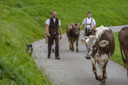 Appenzell, Appenzell Ausserrohden, Schweiz, Schwellbrunn, Sennen, Suisse, Switzerland, Tracht, Viehschau, tradition