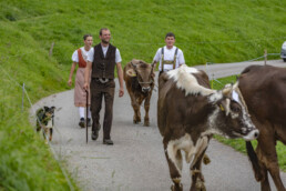 Appenzell, Appenzell Ausserrohden, Schweiz, Schwellbrunn, Sennen, Suisse, Switzerland, Tracht, Viehschau, tradition