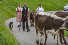 Appenzell, Appenzell Ausserrohden, Schweiz, Schwellbrunn, Sennen, Suisse, Switzerland, Tracht, Viehschau, tradition