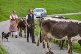 Appenzell, Appenzell Ausserrohden, Schweiz, Schwellbrunn, Sennen, Suisse, Switzerland, Tracht, Viehschau, tradition