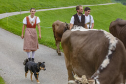 Appenzell, Appenzell Ausserrohden, Schweiz, Schwellbrunn, Sennen, Suisse, Switzerland, Tracht, Viehschau, tradition