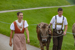 Appenzell, Appenzell Ausserrohden, Schweiz, Schwellbrunn, Sennen, Suisse, Switzerland, Tracht, Viehschau, tradition