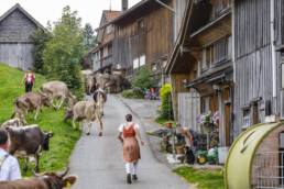 Appenzell, Appenzell Ausserrohden, Schweiz, Schwellbrunn, Sennen, Suisse, Switzerland, Tracht, Viehschau, tradition