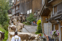 Appenzell, Appenzell Ausserrohden, Schweiz, Schwellbrunn, Sennen, Suisse, Switzerland, Tracht, Viehschau, tradition
