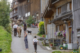 Appenzell, Appenzell Ausserrohden, Schweiz, Schwellbrunn, Sennen, Suisse, Switzerland, Tracht, Viehschau, tradition
