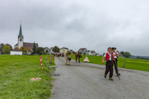 Appenzell, Appenzell Ausserrohden, Ostschweiz, Schweiz, Stein, Suisse, Switzerland, Viehschau