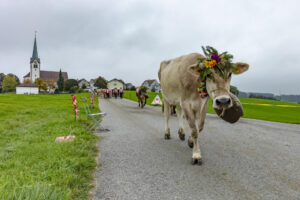 Appenzell, Appenzell Ausserrohden, Ostschweiz, Schweiz, Stein, Suisse, Switzerland, Viehschau