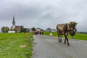 Appenzell, Appenzell Ausserrohden, Ostschweiz, Schweiz, Stein, Suisse, Switzerland, Viehschau