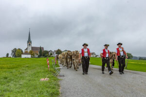 Appenzell, Appenzell Ausserrohden, Ostschweiz, Schweiz, Stein, Suisse, Switzerland, Viehschau