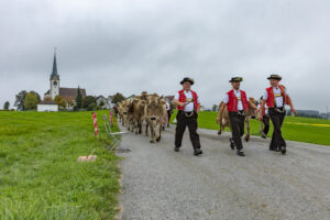 Appenzell, Appenzell Ausserrohden, Ostschweiz, Schweiz, Stein, Suisse, Switzerland, Viehschau