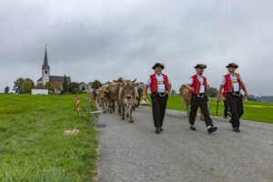 Appenzell, Appenzell Ausserrohden, Ostschweiz, Schweiz, Stein, Suisse, Switzerland, Viehschau