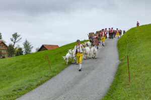 Appenzell, Appenzell Ausserrohden, Ostschweiz, Schweiz, Stein, Suisse, Switzerland, Viehschau