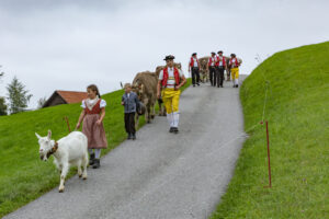 Appenzell, Appenzell Ausserrohden, Ostschweiz, Schweiz, Stein, Suisse, Switzerland, Viehschau