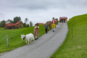 Appenzell, Appenzell Ausserrohden, Ostschweiz, Schweiz, Stein, Suisse, Switzerland, Viehschau