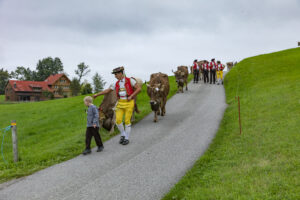 Appenzell, Appenzell Ausserrohden, Ostschweiz, Schweiz, Stein, Suisse, Switzerland, Viehschau