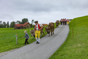 Appenzell, Appenzell Ausserrohden, Ostschweiz, Schweiz, Stein, Suisse, Switzerland, Viehschau