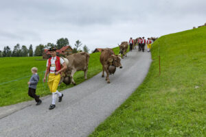 Appenzell, Appenzell Ausserrohden, Ostschweiz, Schweiz, Stein, Suisse, Switzerland, Viehschau