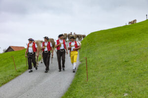 Appenzell, Appenzell Ausserrohden, Ostschweiz, Schweiz, Stein, Suisse, Switzerland, Viehschau