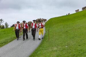 Appenzell, Appenzell Ausserrohden, Ostschweiz, Schweiz, Stein, Suisse, Switzerland, Viehschau