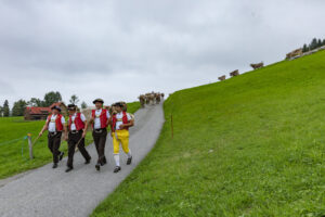 Appenzell, Appenzell Ausserrohden, Ostschweiz, Schweiz, Stein, Suisse, Switzerland, Viehschau