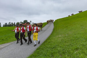 Appenzell, Appenzell Ausserrohden, Ostschweiz, Schweiz, Stein, Suisse, Switzerland, Viehschau
