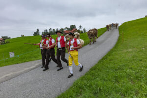 Appenzell, Appenzell Ausserrohden, Ostschweiz, Schweiz, Stein, Suisse, Switzerland, Viehschau