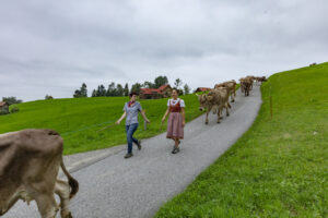 Appenzell, Appenzell Ausserrohden, Ostschweiz, Schweiz, Stein, Suisse, Switzerland, Viehschau