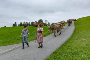Appenzell, Appenzell Ausserrohden, Ostschweiz, Schweiz, Stein, Suisse, Switzerland, Viehschau