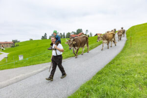 Appenzell, Appenzell Ausserrohden, Ostschweiz, Schweiz, Stein, Suisse, Switzerland, Viehschau