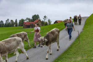 Appenzell, Appenzell Ausserrohden, Ostschweiz, Schweiz, Stein, Suisse, Switzerland, Viehschau