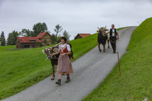 Appenzell, Appenzell Ausserrohden, Ostschweiz, Schweiz, Stein, Suisse, Switzerland, Viehschau