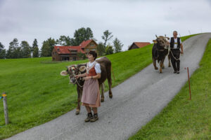 Appenzell, Appenzell Ausserrohden, Ostschweiz, Schweiz, Stein, Suisse, Switzerland, Viehschau