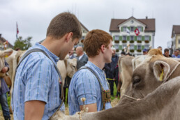 Appenzell, Appenzell Ausserrohden, Ostschweiz, Schweiz, Stein, Suisse, Switzerland, Viehschau