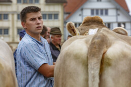 Appenzell, Appenzell Ausserrohden, Ostschweiz, Schweiz, Stein, Suisse, Switzerland, Viehschau