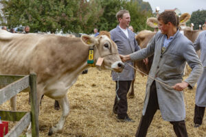 Appenzell, Appenzell Ausserrohden, Ostschweiz, Schweiz, Stein, Suisse, Switzerland, Viehschau