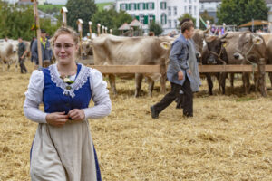 Appenzell, Appenzell Ausserrohden, Ostschweiz, Schweiz, Stein, Suisse, Switzerland, Viehschau
