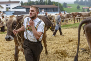 Appenzell, Appenzell Ausserrohden, Ostschweiz, Schweiz, Stein, Suisse, Switzerland, Viehschau