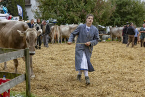 Appenzell, Appenzell Ausserrohden, Ostschweiz, Schweiz, Stein, Suisse, Switzerland, Viehschau