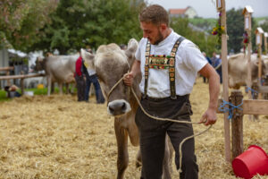 Appenzell, Appenzell Ausserrohden, Ostschweiz, Schweiz, Stein, Suisse, Switzerland, Viehschau