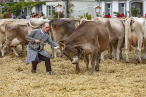Appenzell, Appenzell Ausserrohden, Ostschweiz, Schweiz, Stein, Suisse, Switzerland, Viehschau