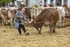 Appenzell, Appenzell Ausserrohden, Ostschweiz, Schweiz, Stein, Suisse, Switzerland, Viehschau