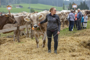Appenzell, Appenzell Ausserrohden, Ostschweiz, Schweiz, Stein, Suisse, Switzerland, Viehschau