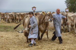 Appenzell, Appenzell Ausserrohden, Ostschweiz, Schweiz, Stein, Suisse, Switzerland, Viehschau