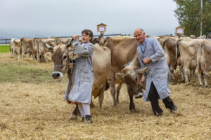 Appenzell, Appenzell Ausserrohden, Ostschweiz, Schweiz, Stein, Suisse, Switzerland, Viehschau