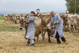 Appenzell, Appenzell Ausserrohden, Ostschweiz, Schweiz, Stein, Suisse, Switzerland, Viehschau
