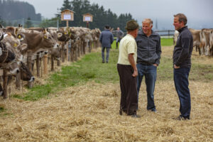 Appenzell, Appenzell Ausserrohden, Ostschweiz, Schweiz, Stein, Suisse, Switzerland, Viehschau