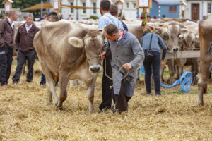 Appenzell, Appenzell Ausserrohden, Ostschweiz, Schweiz, Stein, Suisse, Switzerland, Viehschau