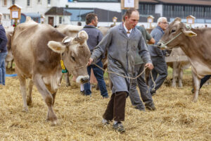 Appenzell, Appenzell Ausserrohden, Ostschweiz, Schweiz, Stein, Suisse, Switzerland, Viehschau