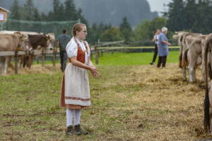 Appenzell, Appenzell Ausserrohden, Ostschweiz, Schweiz, Stein, Suisse, Switzerland, Viehschau