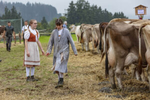 Appenzell, Appenzell Ausserrohden, Ostschweiz, Schweiz, Stein, Suisse, Switzerland, Viehschau
